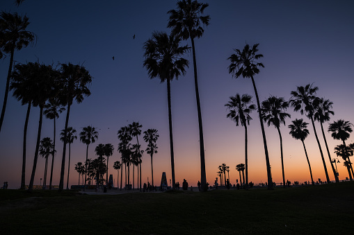 Los Angeles, USA - May 12th, 2022: The iconic Venice Beach at sunset.