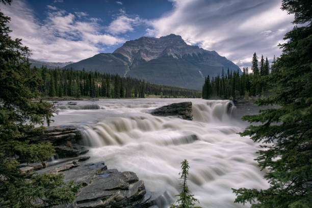 Athabasca Falls in summer, Jasper National Park, AB, Canada stock photo