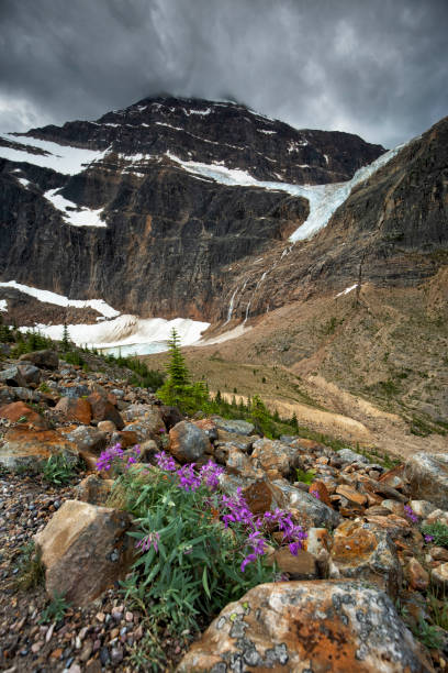 istock Mt. Edith Cavell in summer, Jasper National Park, AB, Canada 1416710176