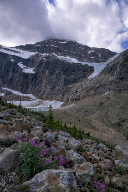 istock Mt. Edith Cavell in summer, Jasper National Park, AB, Canada 1416711671