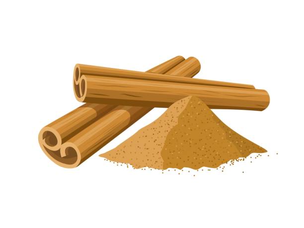 Cinnamon powder Vector illustration, cinnamon stick roll, isolated on a white background. kayu manis stock illustrations