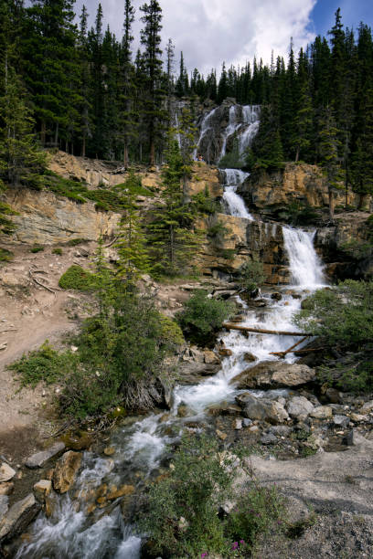 istock Tangle Creek Falls in summer, Jasper National Park, AB, Canada 1416714303