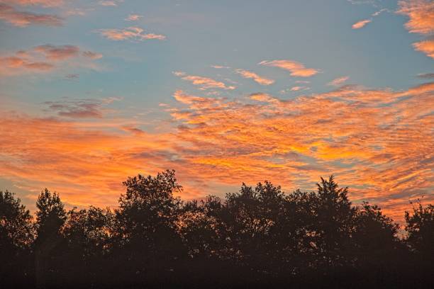 sonnenaufgang - city of sunrise sunrise tree sky stock-fotos und bilder