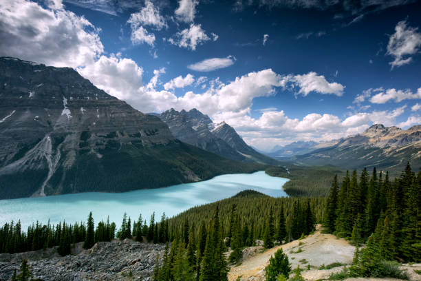 lago peyto, parque nacional banff, ab, canadá - montanhas rochosas canadianas - fotografias e filmes do acervo