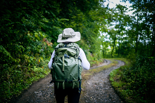 Rear view of women hiking in forest road