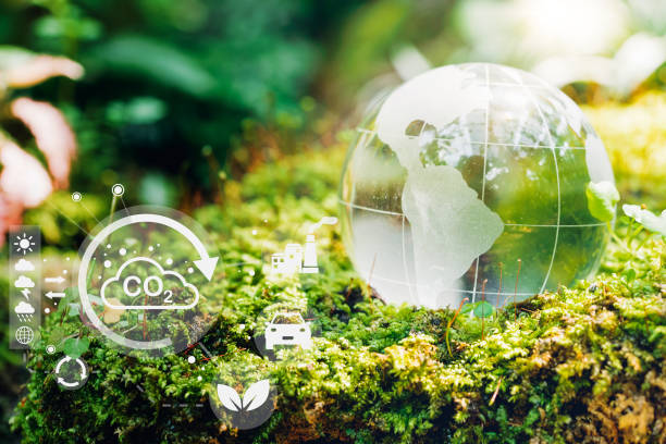 istock Glass globe in the in nature forest with environment Icons 1416743695