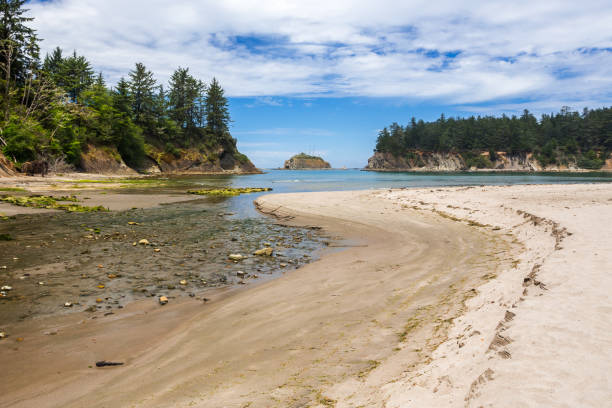 Stream of water flowing into the ocean. Sunset Beach State Park in Oregon, USA
