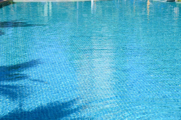 istock blue swimming pool with shadow of tree, beautiful background 1416755694