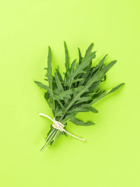 istock A bunch of arugula leaves on a green background. Flat lay. 1416759126