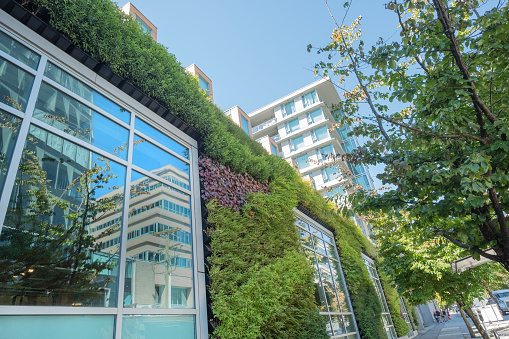 Sustainable landscape architecture - green wall of living plants on a modern glassed commercial building in Vancouver, British Columbia, Canada.  View from public tree-lined sidewalk.