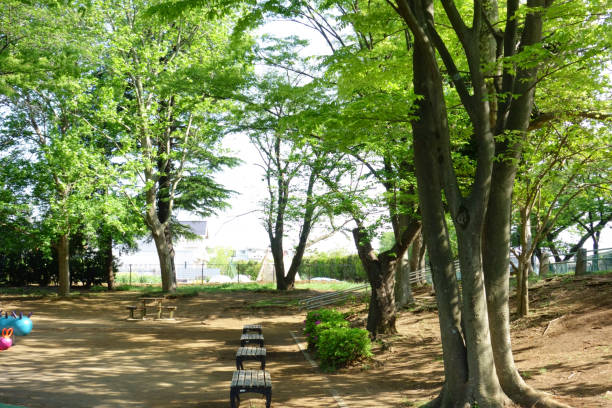 istock A green park in a cheerful climate in early summer 1416771915