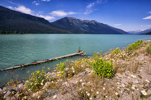 Moose Lake at Mount Robson Provincial Park, BC, Canada in summer.