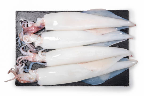 Fresh Squid isolated on white background, Fresh Splendid Squid on black plate With clipping path.