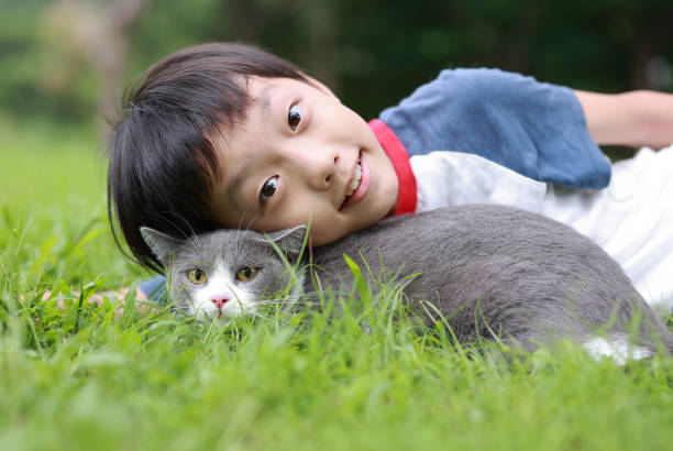 istock Little boy and his cat 1416777952