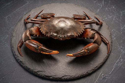 Raw black Crab on black plate, Fresh Raw mud crab on black plate on black background,