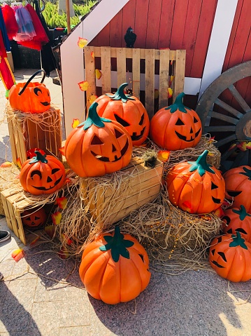 The Jack~O~Lantern Pumpkins were displayed durning Halloween to add its ambiance to the festival in the heart of Egypt.