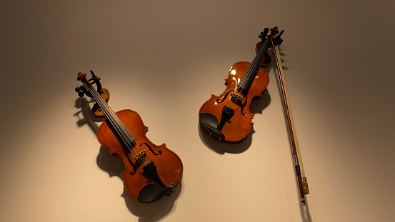 beautiful violin