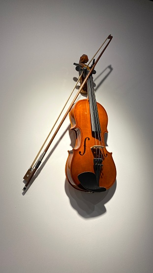 beautiful violin