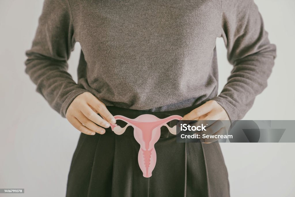 Hands holding uterus, female reproductive system , woman health, PCOS, gynecologic and cervix cancer concept Endometriosis Stock Photo Hands holding uterus, female reproductive system , woman health, PCOS, gynecologic and cervix cancer concept Endometriosis Stock Photo
