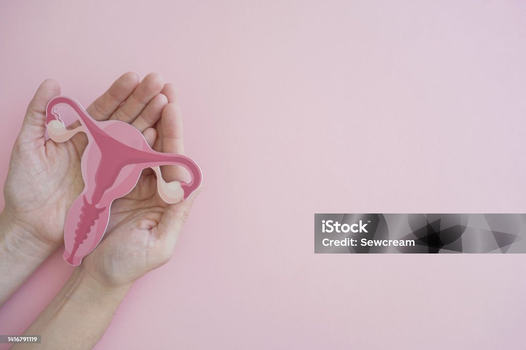 Hands holding uterus, female reproductive system , woman health, PCOS, gynecologic and cervix cancer concept Cancer - Illness Stock Photo