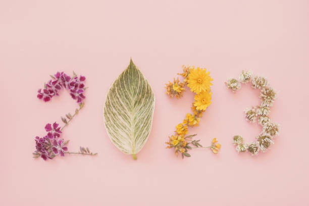 2023 aus natürlichen pflanzen, blättern und blüten, frohes neues jahr wellness und gesunde lebensstilvorsätze, urlaubs-retreat-konzept - new years day fotos stock-fotos und bilder