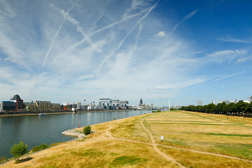 The withered pollard meadow in late summer. View down the Rhine to Rheinauhafen and Cologne Cathedral.