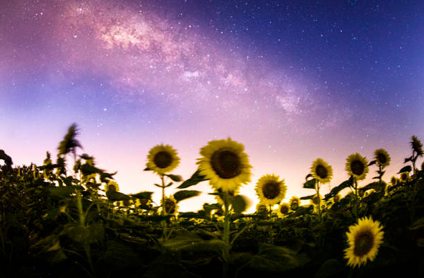 istock The world's most beautiful astronaut photos (star, milky way, meteor) 1416819957
