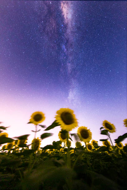 istock The world's most beautiful astronaut photos (star, milky way, meteor) 1416821614