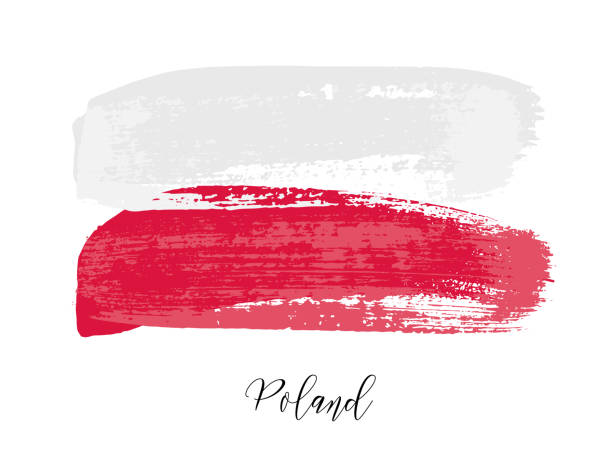 Poland flag from dry brush lines with grunge effect, Polish brushstroke national symbol Poland flag from two dry brush lines with grunge effect vector illustration. Abstract Polish brushstroke national symbol of independence and freedom of country drawn in paint isolated on white gdynia stock illustrations