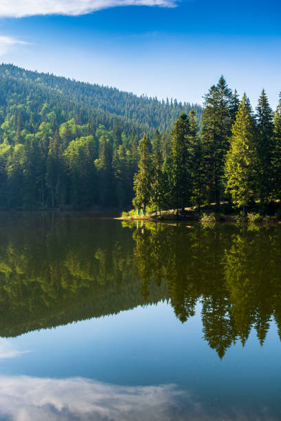 istock mountain landscape with lake in summer 1416828275