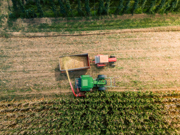 istock Farm tractors with mounted harvester harvesting corn, viewed from above. 1416834170