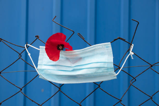 a medical mask weighs behind an iron fence and next to a red poppy flower on a blue background outside, a quarantine zone - plastic poppy imagens e fotografias de stock