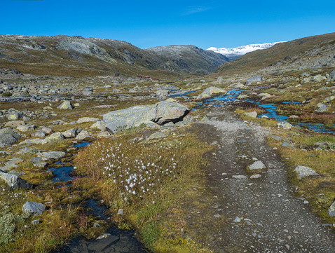 Autumn view on red Krossbu tourist station mountain hut buildings from hike to glacier Smorstabbreen with blue creek stream, snow-capped mountains and orange moss and heath in Jotunheimen National Park, Western Norway.