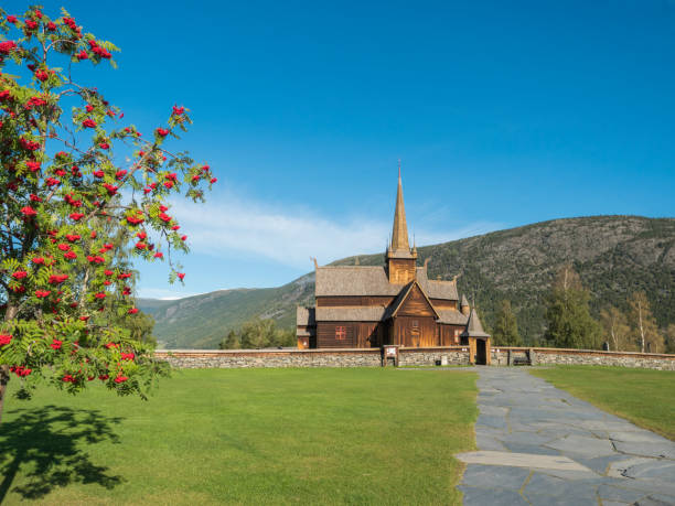 tradizionale stavkirke medievale norvegese in legno di lom chiamata anche la chiesa postale e la palizzata, risalente al 12 ° secolo, attrazione turistica, norvegia. bacche rosse albero di sorbo e cielo blu - stavkyrkje foto e immagini stock