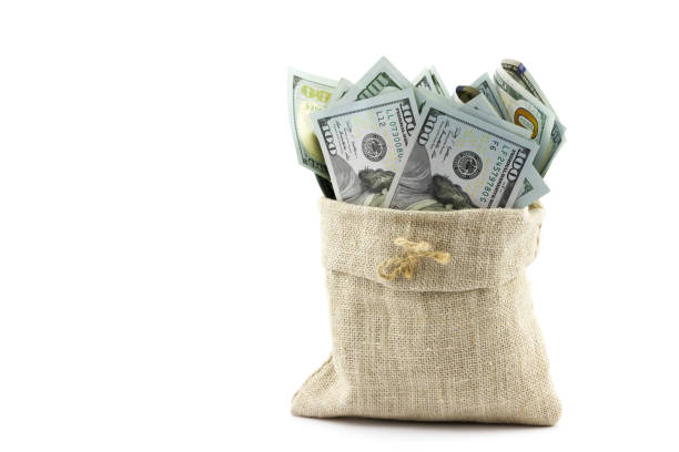Money in the bag isolated on a white background