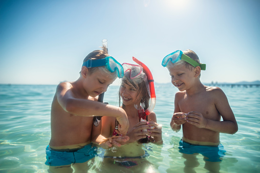 Little boys and their elder sister having fun snorkeling in beautiful sea. The kids aged 6 and 10 are examining sea shells and a starfish found in the sea. Sunny summer day.