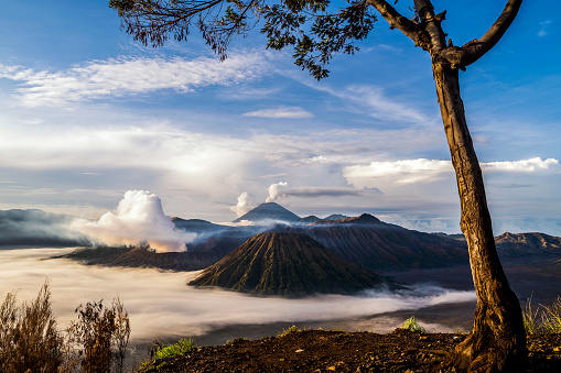 Mount Bromo view at sunrise, East Java, Indonesia.