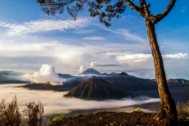 Mount Bromo view at sunrise, East Java, Indonesia.