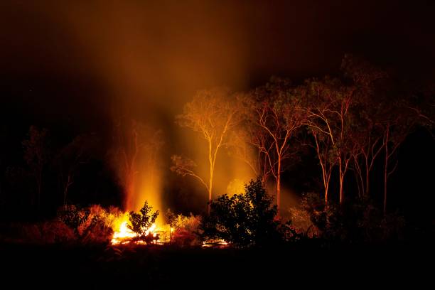 A wild fire rages out of control.