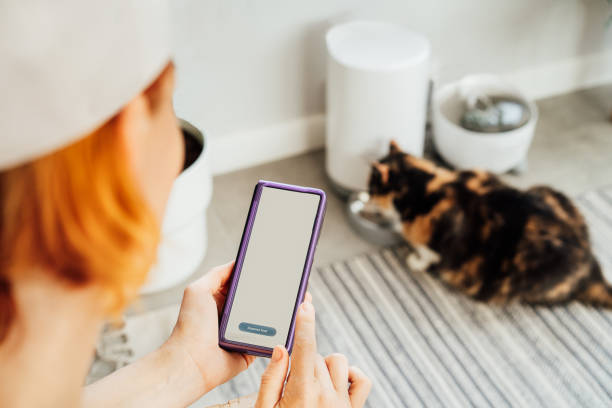 istock Female hands holding smartphone and using application to control cat food dispenser. Cat eating from smart feeder in cozy home interior on background. Home life with a pet. Healthy pet food diet. 1416910026
