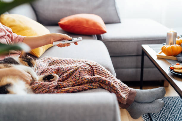 istock Woman with plaid selecting movie with remote controller and stroking multicolored cat pet on the sofa. Movie night party at home with sweets and hot drinks. Cozy autumn holidays. Selective focus 1416910039