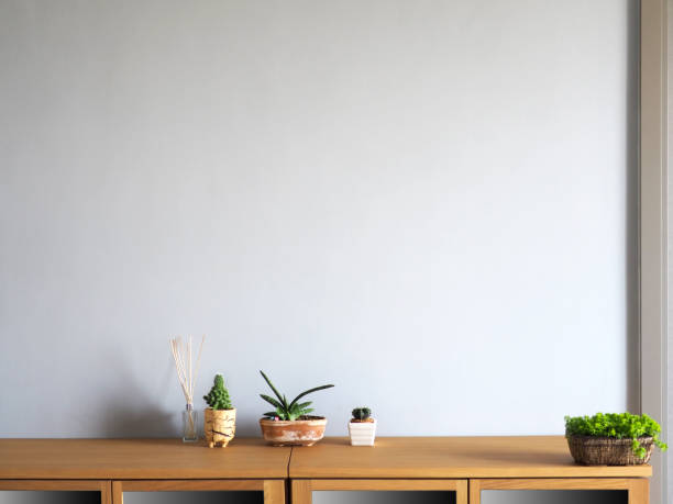 istock empty wall interior room design modern home art background grey color natural light with cactus tree plant houseplant 1416913867