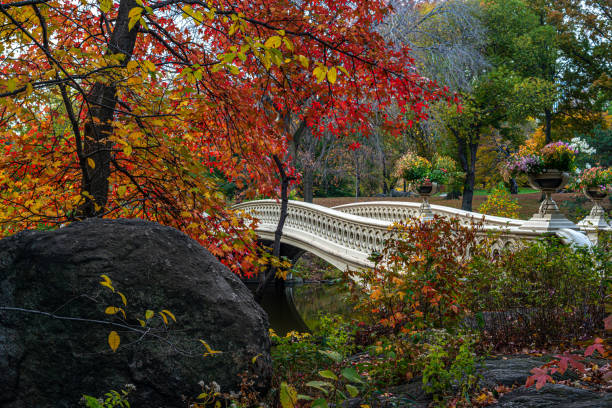 istock Bow bridge in late autumn 1416913897