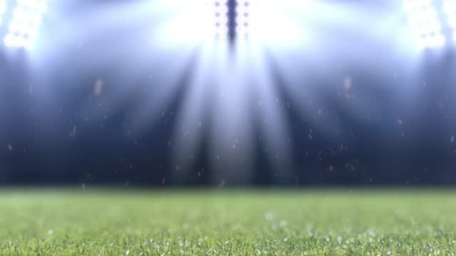 Stadium lights and spotlights. Sports stadium with grass