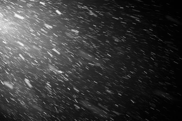Falling snow flakes or rain on black background Snowflakes falling down on black background, heavy snow flakes isolated, Flying rain, overlay effect for composition, Motion blur effect blizzard stock pictures, royalty-free photos & images