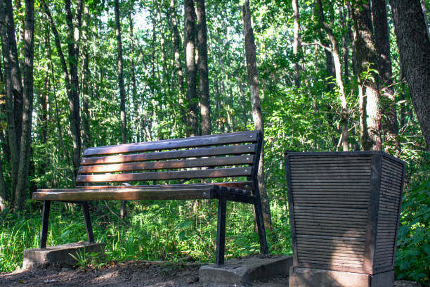 istock Bench and urn in a dense green park. Bench in a forest overgrown park. 1416928584