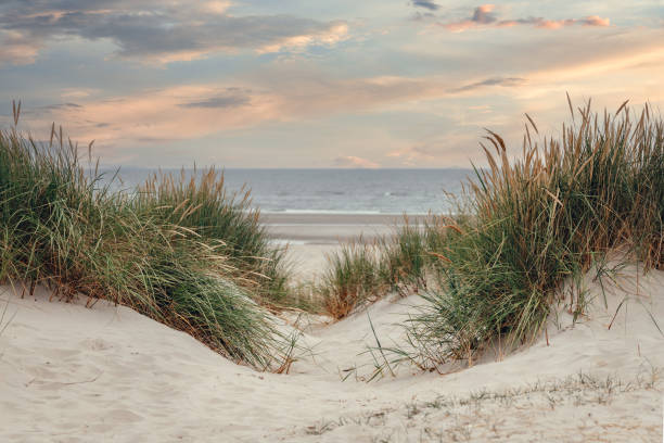 dune landscape dune landscape on the north sea beach tranquil scene stock pictures, royalty-free photos & images