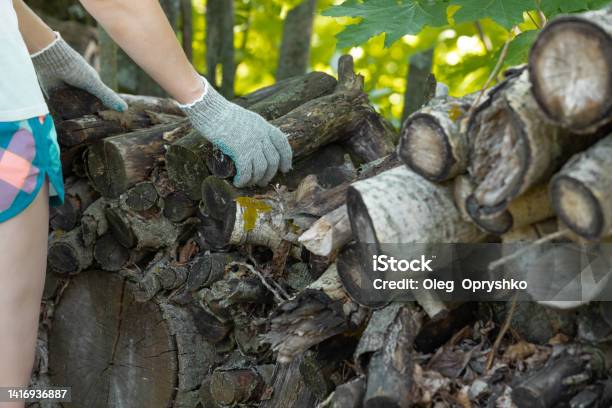 A Woman In Gloves Stacks Firewood On A Pallet Stock Photo - Download Image Now - Adult, Adults Only, Barbecue Grill