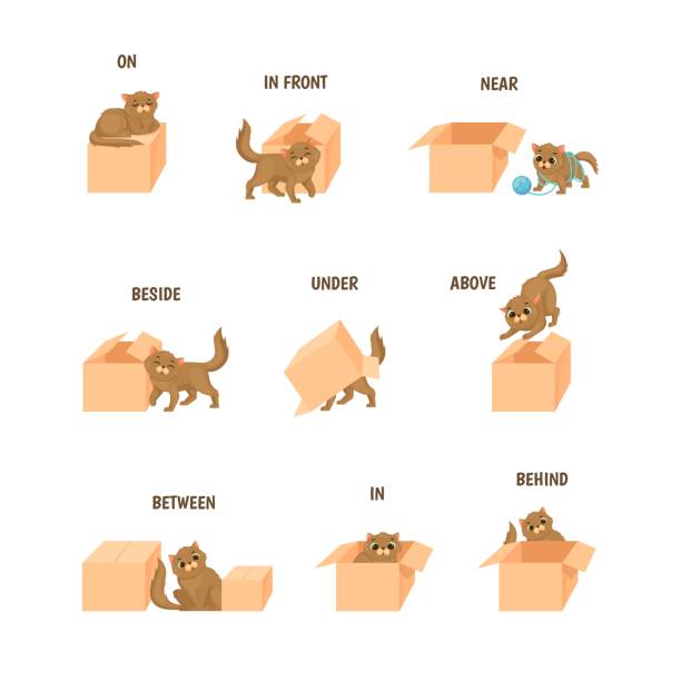 ilustrações de stock, clip art, desenhos animados e ícones de learning prepositions. topologia study language preposition, playful cartoon cat placed in box, place animal house, english grammar child vocabulary, funny pet vector illustration - cat box