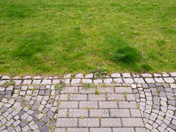 istock Cobblestone road in the park. 1416941442